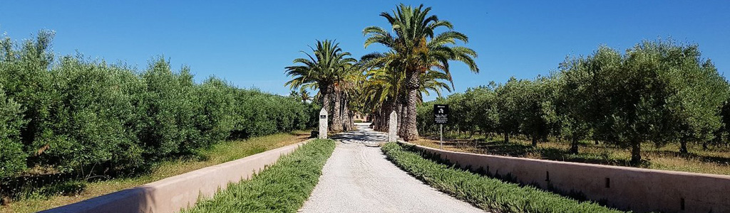 Ferme d’huile d’olive de Monterosa